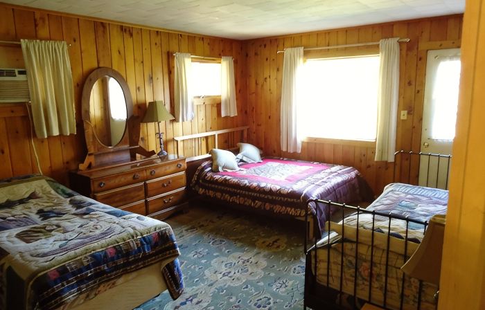 5 Bedroom Pet Friendly House Lake George Region