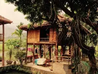 Linh Soi Homestay - Hostel - Hostels