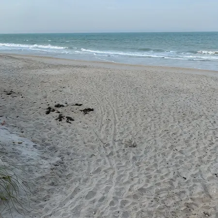 Unwind at Our Beautifull Dog Friendly Beach with Private Access!