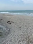 Unwind at Our Beautifull Dog Friendly Beach with Private Access! - Wifi