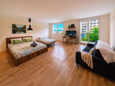Bright Studio with Balcony, Tram 17, Gaillard, Geneva