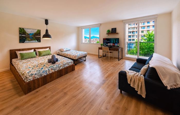 Bright Studio with Balcony, Tram 17, Gaillard, Geneva