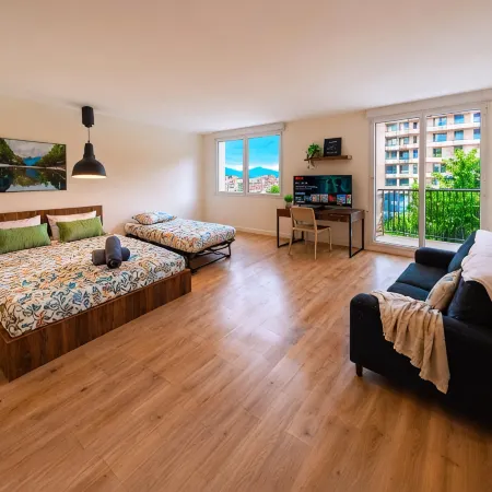 Bright Studio with Balcony, Tram 17, Gaillard, Geneva