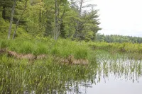 Contemporary Family Lodge, 1/2 mile to Lake! - Alphydda