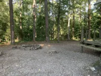 Quaint cabin in the heart of the Ozark Mountains. - 3-Star