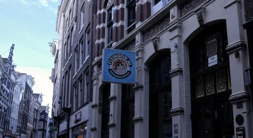 The Flying Pig Downtown - Hostels