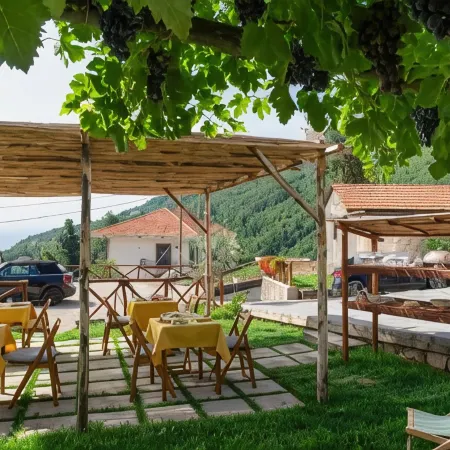 Il Vigneto di Nonno Pietro