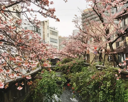 湯宿橘之木 飯店周邊 Photos