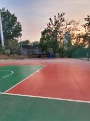 朝陽公園·籃球足球室外場地
