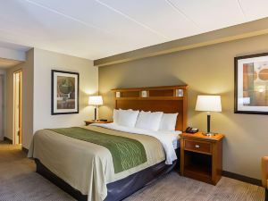 Comfort Inn Herndon-Reston