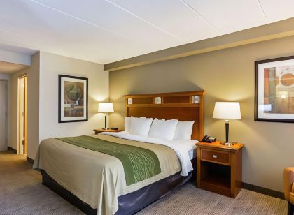 Comfort Inn Herndon-Reston