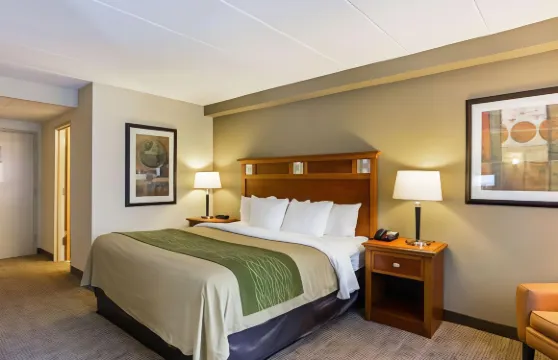 赫恩登 - 里斯頓舒適酒店