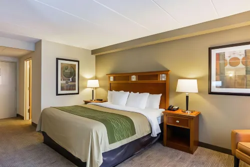 Comfort Inn Herndon-Reston Hotels in Herndon