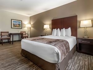 Best Western Plus Pembina Inn  Suites