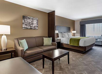 Comfort Inn & Suites Tualatin - Lake Oswego South