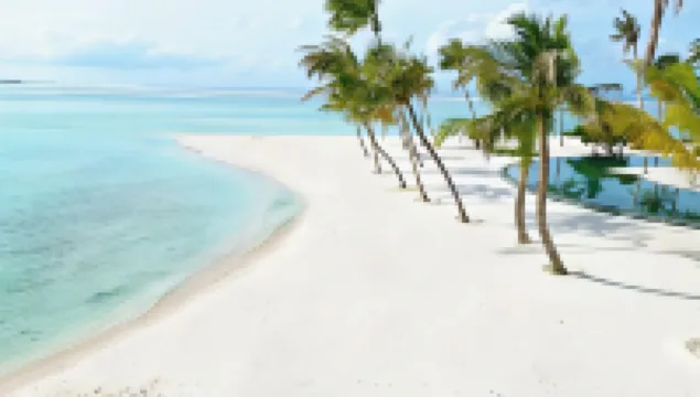 Barceló Whale Lagoon Maldives Hotels in Maamigili Island