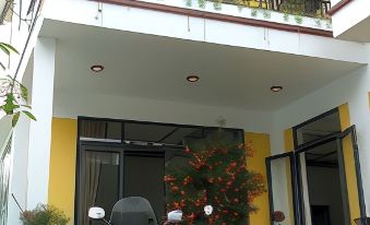 Hoi An Town of Viet House Homestay