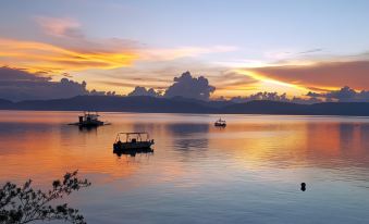 Dolphin House Resort Moalboal
