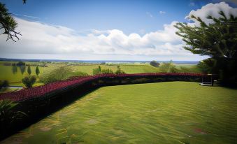 Waitomo Orchard Estate B&B