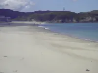 Masamiya