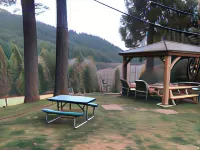 Dunsmuir Lodge فنادق في Dunsmuir