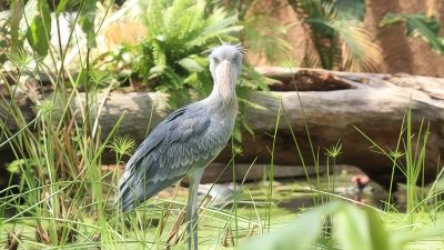 その他 ホテルパールシティ神戸の写真