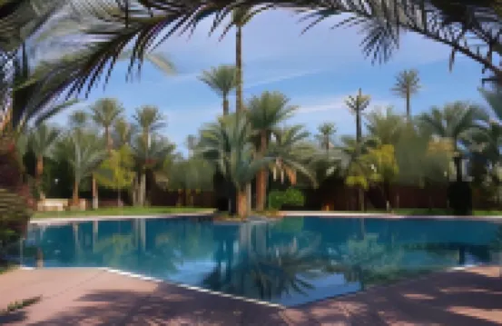 منتجع إن كلوب بالميراي