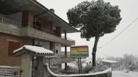 Fiori del Conero