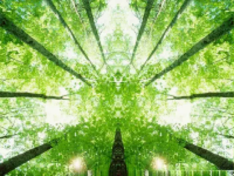 Hotelf1 Dole Hoteles en Dole