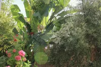 Villa Mucho - Pensions