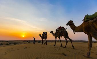 Zostel Sam Desert (Jaisalmer)