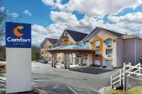 Comfort Suites Northside Hospital Gwinnett فنادق في لورنسفيل