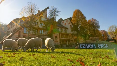 Hotel Piwniczna Spa&Conference Отели в г. Nowosadecki