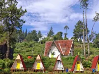 Ciwidey Jungle Camp Hotels near Kebun Teh Warnasari