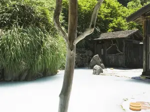Kyukamura Nyuto-Onsenkyo