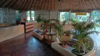 Corbett Soho Resort - Pools