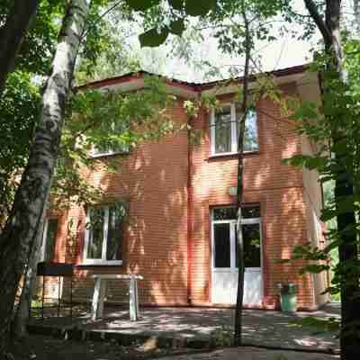 Jungle Hotel Hotel Exterior