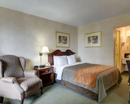 Quality Inn Vienna - Tysons Corner