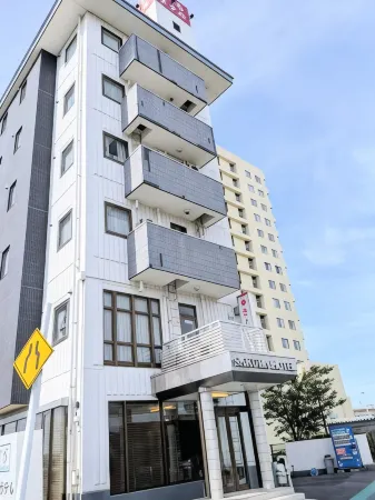 Sakura Hotel Oami Отели в г. Тогане