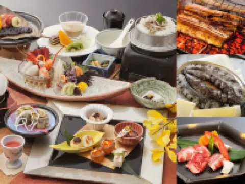 Hamanako Kanzanjionsen Hotel Kikusuitei