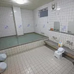 Business Hotel Miharashitei