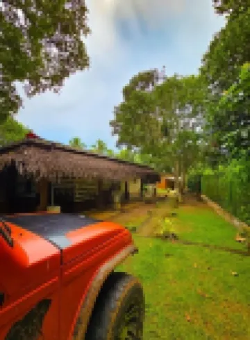 Elephant Safari Paradise Hotels in 