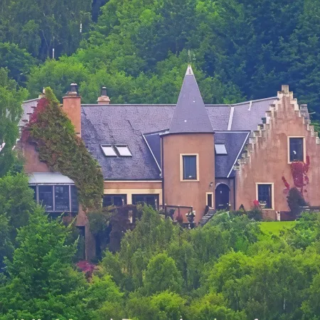 Highland Bear Lodge & Luxury Bear Huts