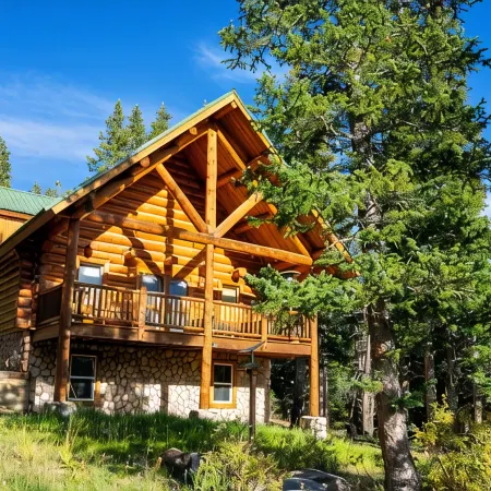 Gemini cabin, deck views of 14kft mtn, 40 min to Breck. Surrounded by wildlife