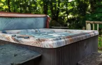 Roan Mountain Charming Cabin Hot Tub Close to Hiking Dogs Welcome