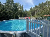 Tree house  lots birds  great location . ..... lots to do all summer long ...... フルトンのホテル