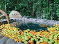 Guantang Hot Spring (International) Resort - Hot Springs