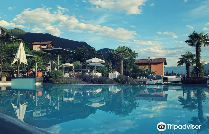 Solea Südtirol