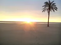 Beachfront apartment 40 k. from Valencia, services all year round, - Homestays