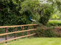 3 Bedroom idyllic countryside cottage in the middle of rural Wiltshire ディバイザスのホテル